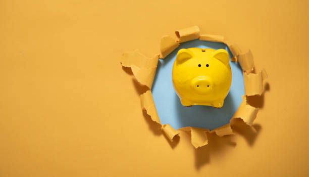 istock Piggy bank with a torn paper. 1434387541