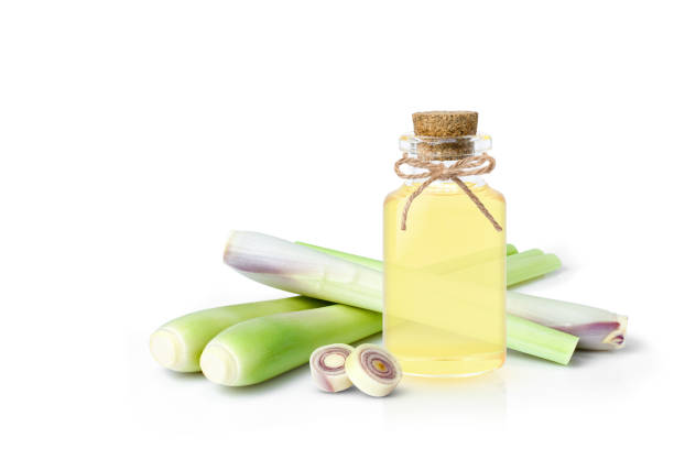 istock Lemongrass oil 1434387678