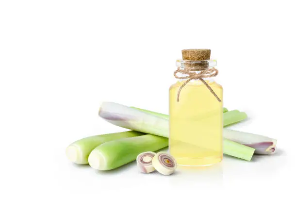 Fresh lemongrass with glass bottle of essential oil extract isolated on white background.