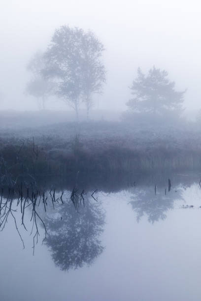 istock Foggy morning at Kendlmuehlfilzen 1434391280