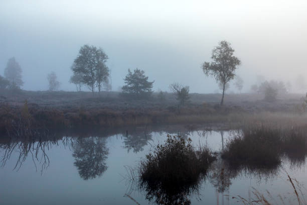 istock Foggy morning at Kendlmuehlfilzen 1434391287