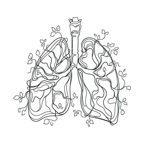 ウェブ - human lung ideas healthcare and medicine flower点のイラスト素材／クリップアート素材／マンガ素材／アイコン素材