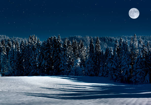 istock Snowy winter landscape with a full moon 1434397606