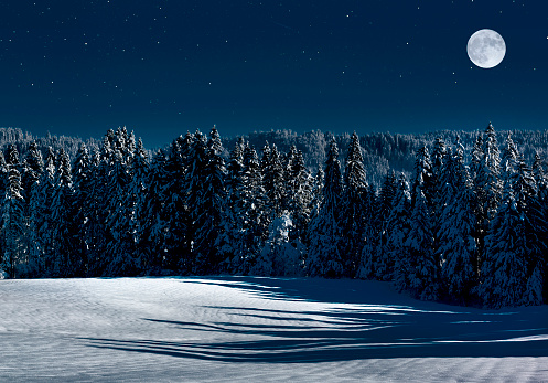 Snowy winter landscape with a full moon