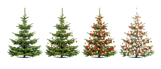 Isolated Christmas tree with Christmas decorations