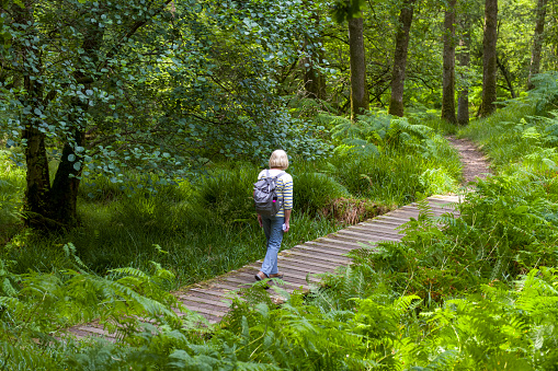 Hiking on the uninhabited island of Inchcailloch in Loch Lomond, just off the coast of Balmaha in Scotland, UK