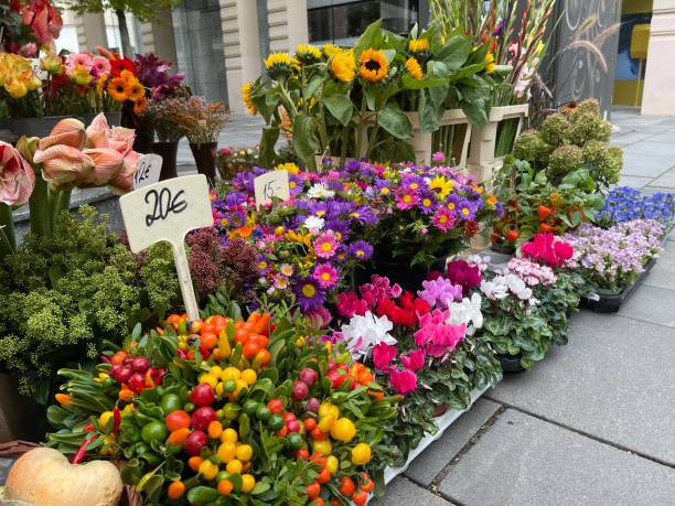 istock Retail display of a flower shop 1434402135
