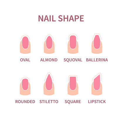 Set of nail shapes with contours. Fingernails of different form with pink polish. Professional manicure beauty concept. Vector illustration.