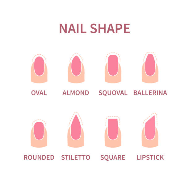 Ballerina Nails Shape Illustrations, Royalty-Free Vector Graphics & Clip Art - iStock Ballerina Nails Shape Illustrations, Royalty-Free Vector Graphics & Clip Art - iStock