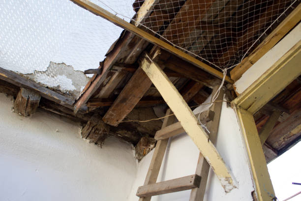 istock A wooden ladder under a old wooden roof 1434410982