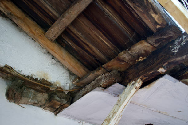 istock Under the old wooden roof 1434411329