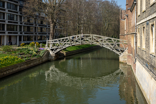 River Cam with the mathematical bridge in the foreground. Cambridge, Cambridgeshire, England, UK.