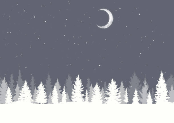 istock Christmas background with winter tree landscape and moonlit snowy sky 1434423114