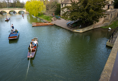 Punting on the River Cam with punts on 'The Backs' in the foreground. Cambridge, Cambridgeshire, England, UK.