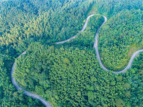 Aerial photography of winding mountain road and green forest