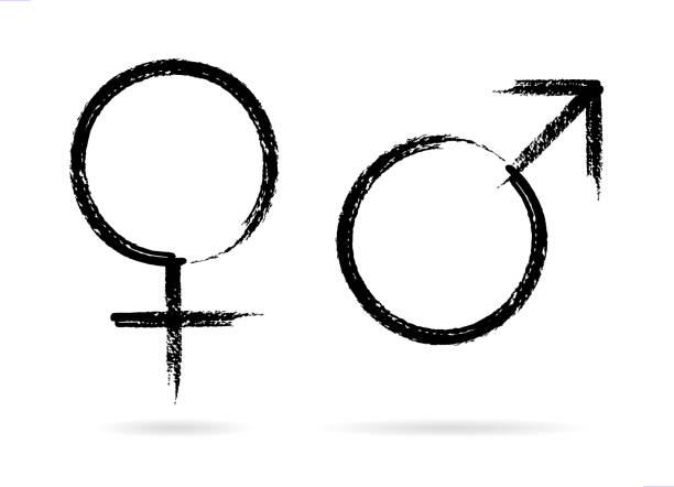 ilustraciones, imágenes clip art, dibujos animados e iconos de stock de símbolos de género pincelada - símbolo de género