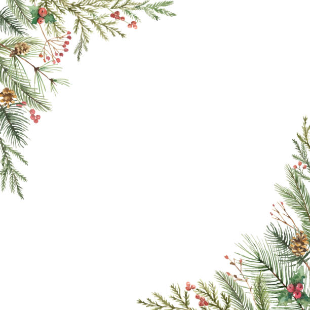 illustrations, cliparts, dessins animés et icônes de carte de noël vectorielle aquarelle avec branches de sapin et espace de copie. modèle carré tendance pour les vacances d’hiver. convient pour la publication sur les réseaux sociaux, les applications mobiles, les cartes postales, les invitations du no - pattern green decoration frame