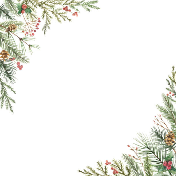 акварельная векторная рождественская открытка с еловыми ветвями и копировальным пространством. модный квадратный шаблон для зимнего отды - christmas winter backgrounds nature stock illustrations