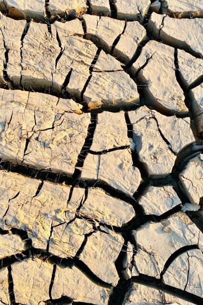 istock Vertical shot of dry cracked dirt ground. 1434428197