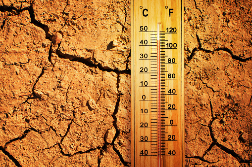 Thermometer on dry field