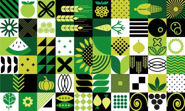 Vector illustration of Abstract background of organic agricultural vegetarian food and simple figures in Bauhaus geometric style