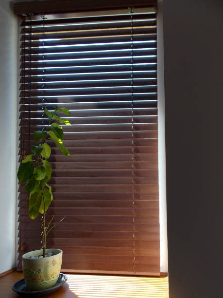 istock Wood blinds brown color closeup on the window 1434432768