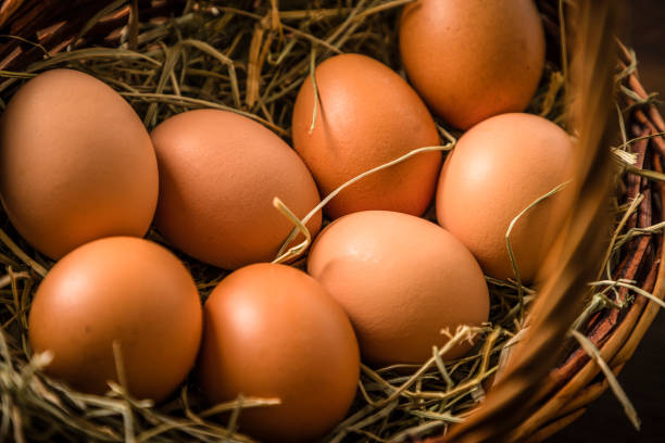 istock Inside view of a farmer basket full of picked up eggs 1434436013