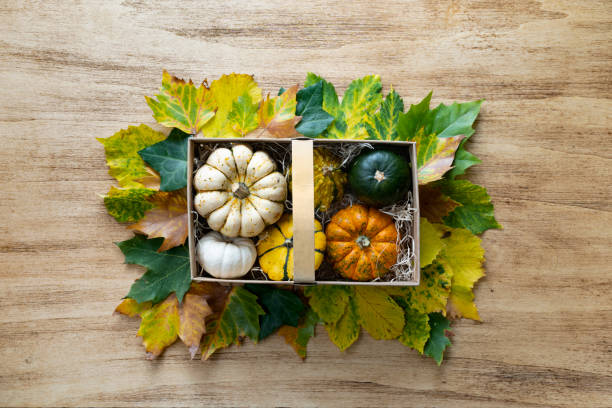 istock Thanksgiving background with pumpkins in a basket 1434438093