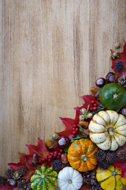 istock Thanksgiving pumpkins with fruits and falling leaves 1434438359