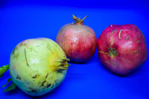 Pomegranates from different tree on blue background