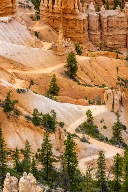 Photo of Zig Zagging Trail Winds Up Side of Bryce Canyon