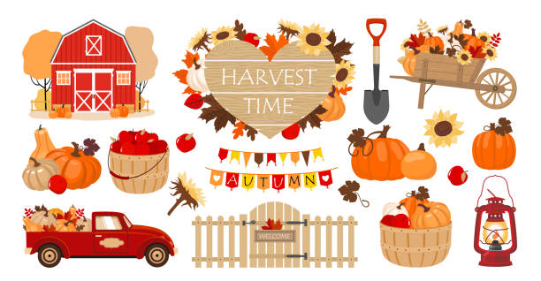 수확 시간 호박 세트 - farm pumpkin autumn farmer stock illustrations