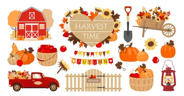 Vector illustration of HARVEST TIME PUMPKIN SET