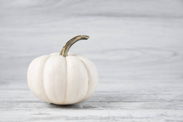 istock Autumn and Holiday Background 1434447848