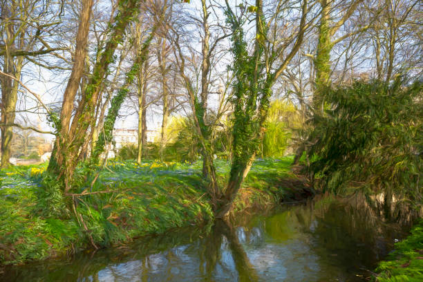 Cambridge woodland in springtime in the historic university town of Cambridge, England, UK.