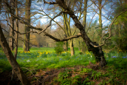 Cambridge woodland in springtime in the historic university town of Cambridge, England, UK.