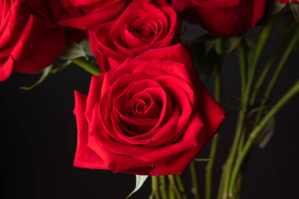 istock The red roses for the Valentine 1434449658