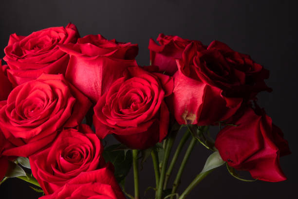 istock The red roses for the Valentine 1434449664