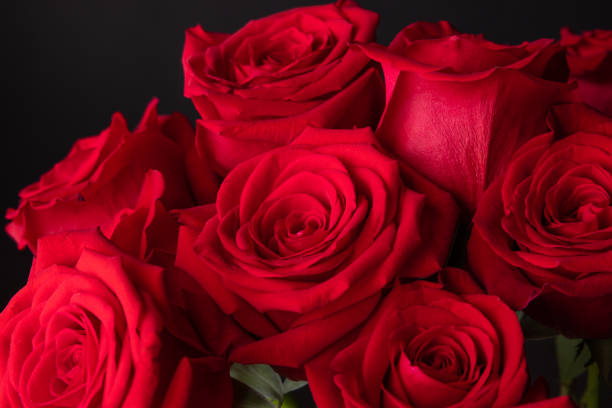 istock The red roses for the Valentine 1434449667