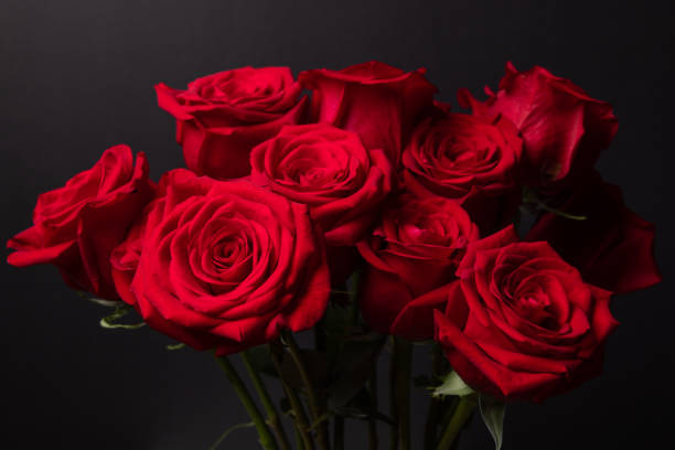 istock The red roses for the Valentine 1434449784