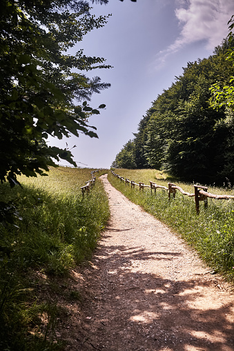 Szczawnica, Poland - July 06, 2015 : View of a footpath in a rural scene