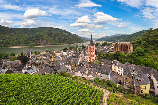 Bacharach Germany, city skyline at Bacharach city and Rhine River view from grape vineyard