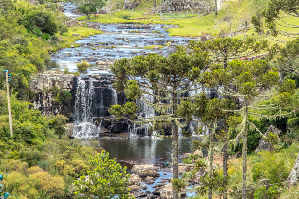 beautiful Cascade Barry Bom at Jardim da Serra