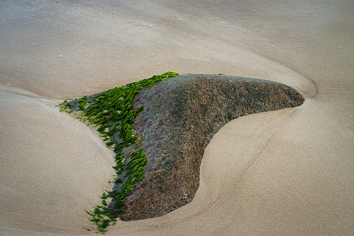 This rock was deep in the sand from the beach on the island of Rügen and was overgrown with algae. The shape of the stone itself resembled an island and the moss looked like a narrow forest on the cliff of this island.