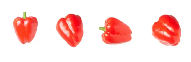 Set of views of sweet red pepper from different sides - advertising design set