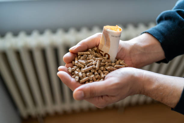 Wood pellets in hands with euro banknote Natural wood pellet in hands with euro banknotes. Wood pellets in the background. Biofuels. Cat litter. Man's hands. Energy prices increase crisis concept. Conceptual of costs or savings of biofuels sack barrow stock pictures, royalty-free photos & images