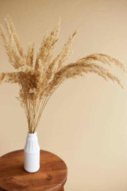 istock Branches of pampas grass in vase on beige background. interior decoration. copy space 1434466124