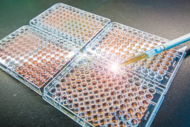 Bioassay Instruments Bioassay Stock Photos, Pictures & Royalty-Free Images - iStock