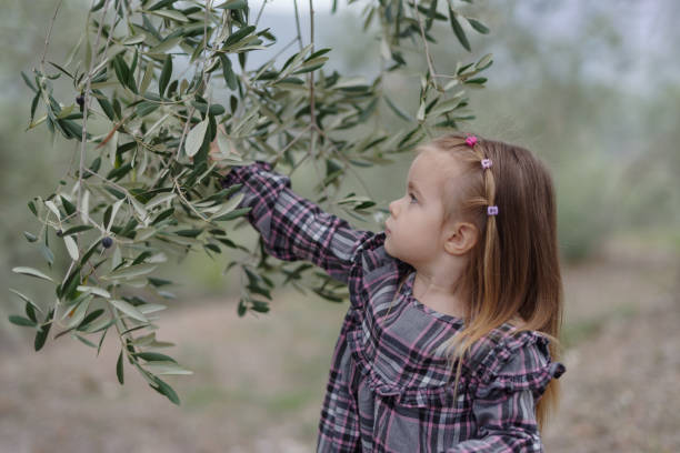 istock Girl picking olives 1434471855