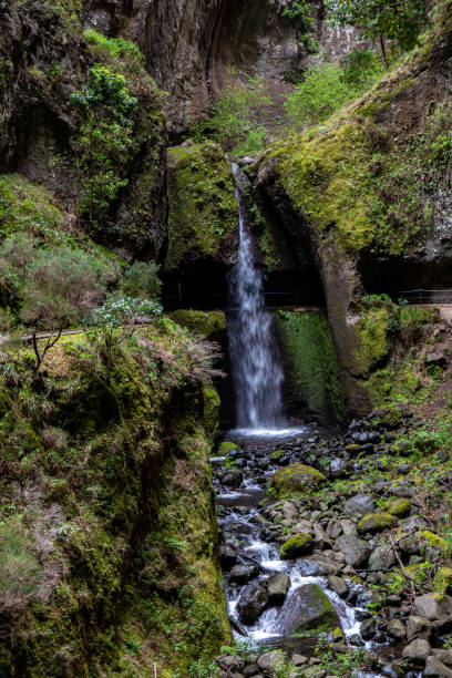 istock The Levada do Moinho to Levada Nova waterfall hike 1434472803